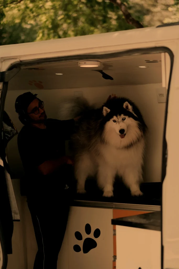 Fluffy dog being brushed on a grooming table inside a mobile dog-grooming van, Santa Fe NM