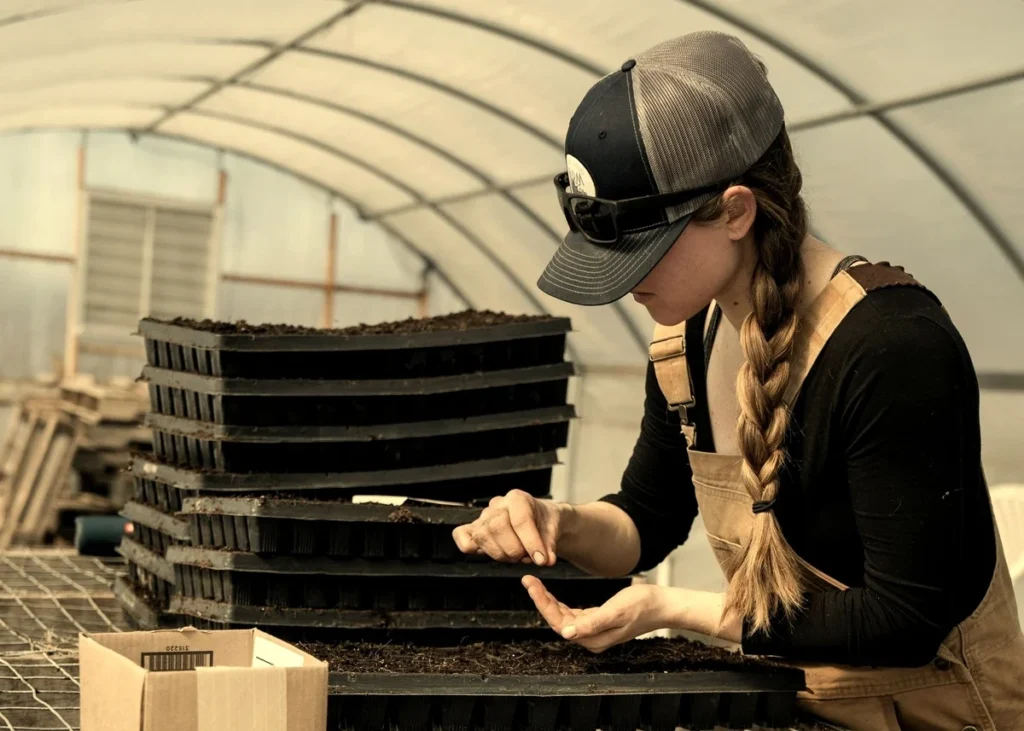 A worker in a greenhouse tending trays of seedlings, standing in for the ongoing care Kingster Local gives a hosted website.